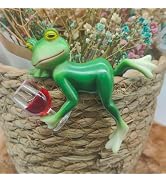 Xxshcdz 2 Pieces Frog Figurines Plant Pot Hanging Decor Funny Frog Resin Sculpture for Garden Bal...