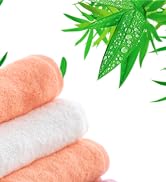 2-kitchen wash cloths