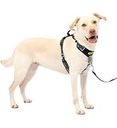 PetSafe Easy Walk Comfort No Pull Dog Harness, Black, Large | Stops Pulling on First Use with Fro...