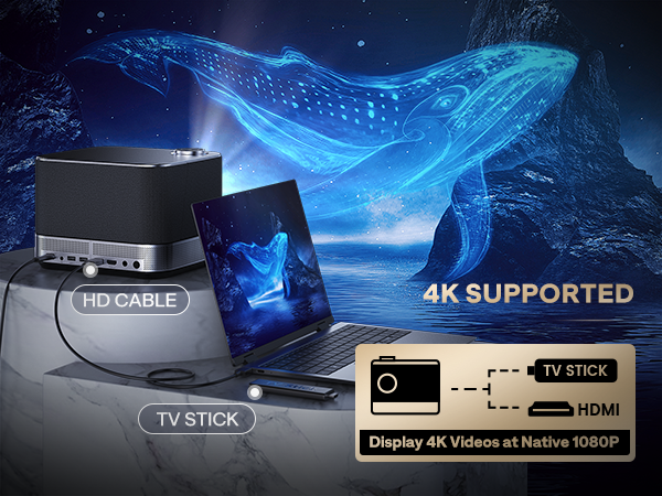 projector 4K Supported