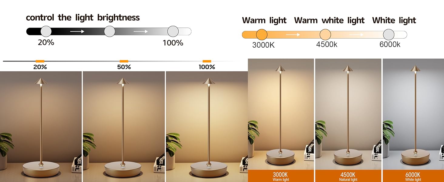 Cordless Table Lamp