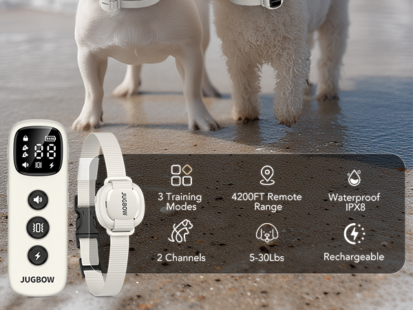 dog training collar with remote