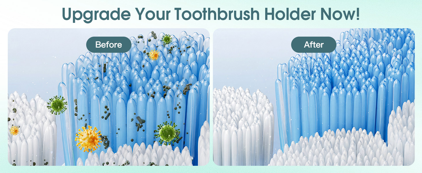 toothbrush holder