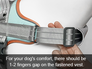 dog harness