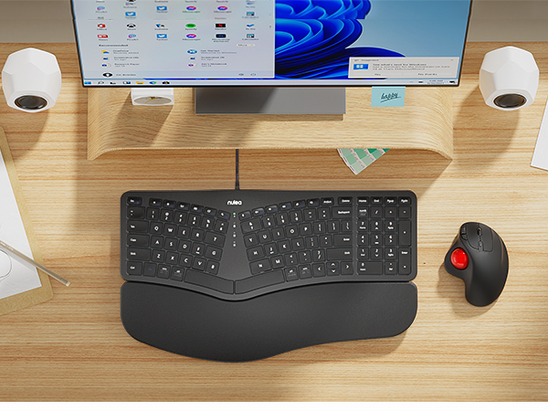 Ergonomic Keyboard
