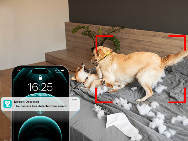 a phone screen showing a dog and a pillow on a bed.