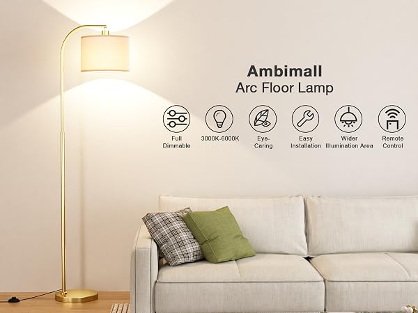 Universally Adaptable Floor Lamp