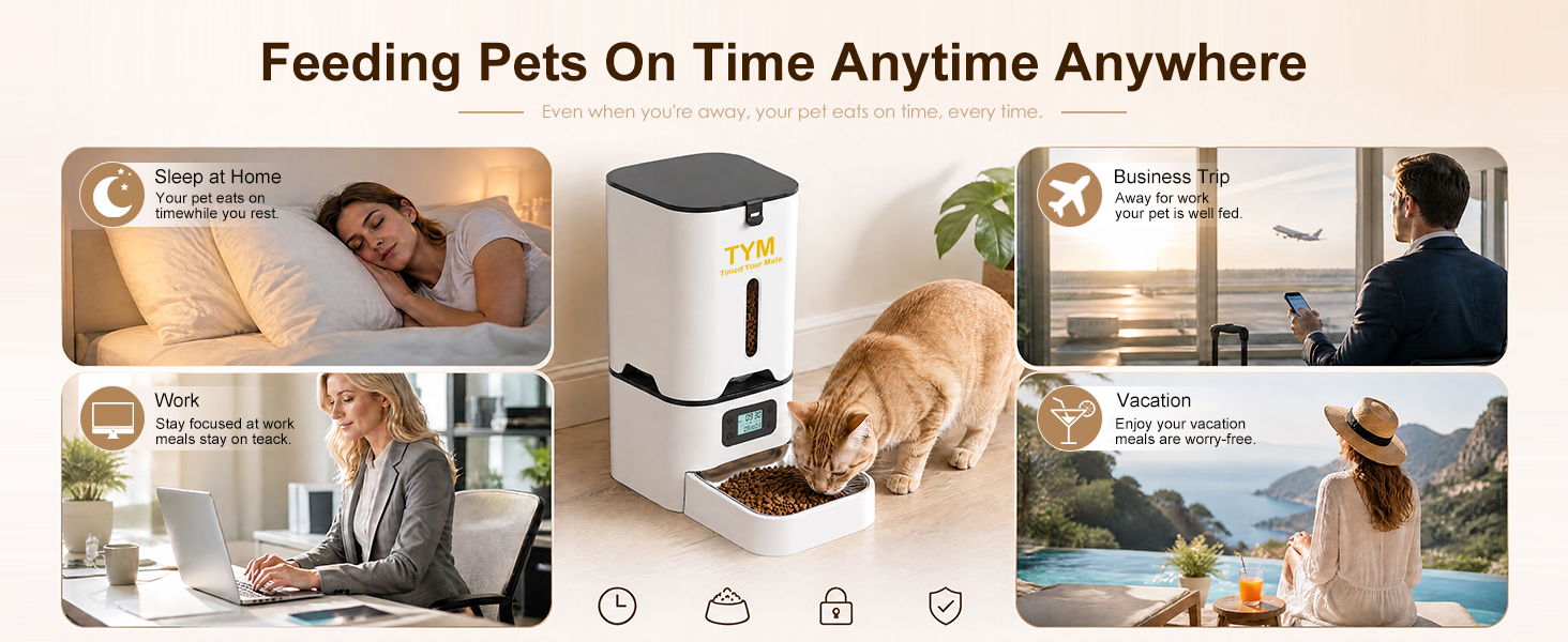 cat food timer automatic feeder
