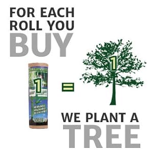 tree planting