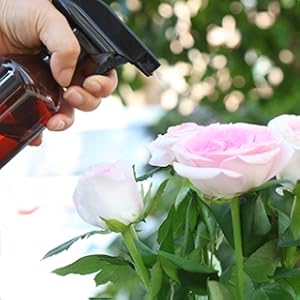 Watering