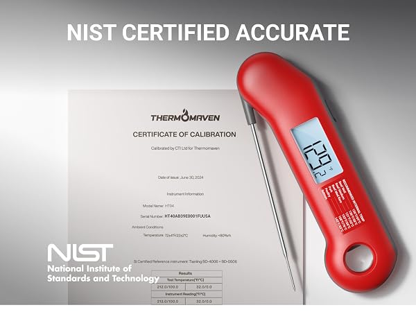 meat thermometer digital