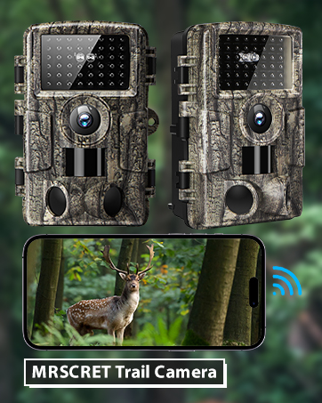 deer camera