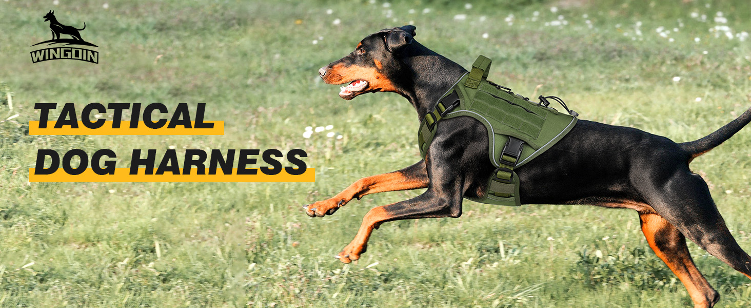 dog harness