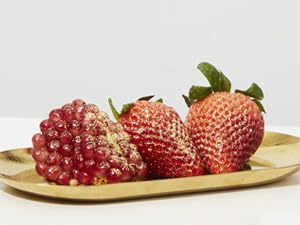 edible glitter for fruits