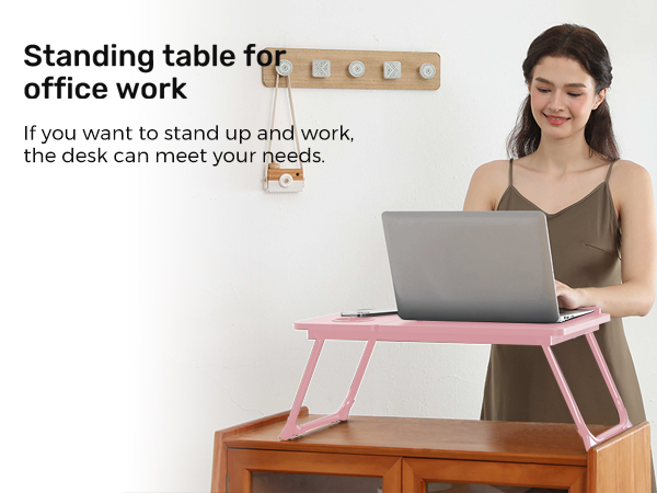 lapdesk-pink