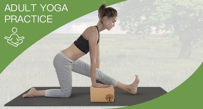 yoga brick