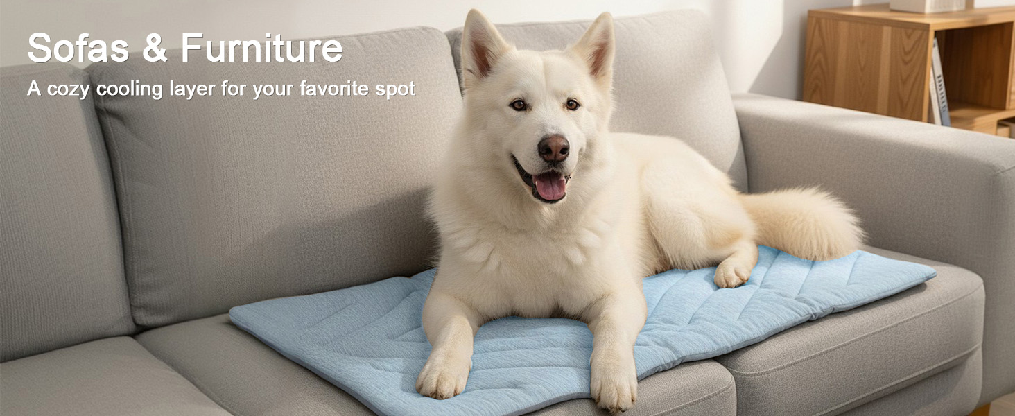 Sofas & Furniture