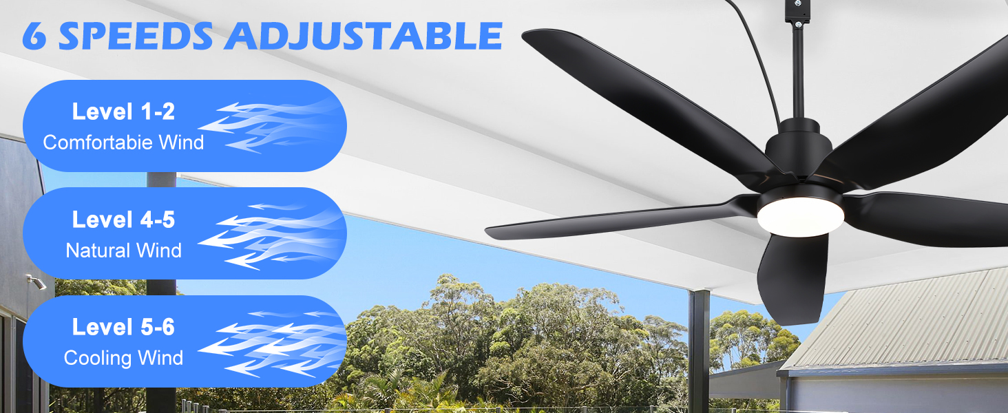 ceiling fan