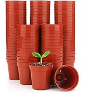 KINGLAKE 100 Pcs 2 Inch Plastic Plant Nursery Pots,Seed and Cutting Pots for Succulent Plants