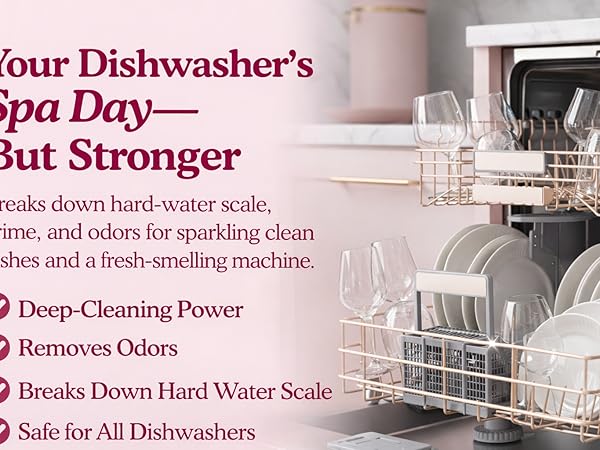 Open dishwasher filled with clean plates and glassware in a bright kitchen