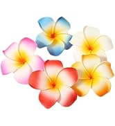 10 Pcs Multicolor Hawaii Plumeria Flower Clips Hawaiian Hair Barrettes Beach Party Hair Clips Art...