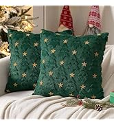 Green Christmas Decor-Winter Throw Pillow Covers 18x18in Set of 2, Cute Soft Plush Faux Fur Pillo...