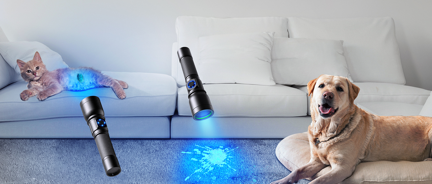 365nm flashlight