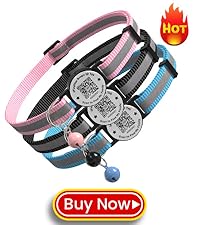 https://m.media-amazon.com/images/S/aplus-media-library-service-media/cc493487-a380-4cc6-b875-93042fb93f49.__CR0,0,400,450_PT0_SX200_V1___.jpg