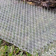 Cat Deterrent Mat