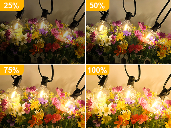 dimmable lights