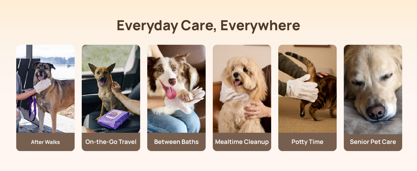 pet wipes for dogs