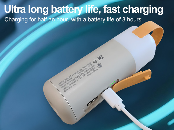Rechargeable