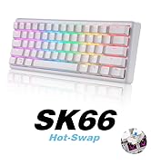 SK66