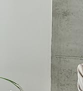 USB C Lavalier Microphone, Omni Condenser Clip-on Mic for iPhone 17/16/15, Samsung, Google, Onepl...