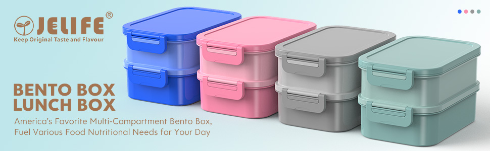 bento box adult lunh box