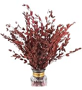 HIAGROW Real Red Eucalyptus Stems Decor 20PCS 16" Dried Willow Eucalyptus Plant Preserved Stems f...
