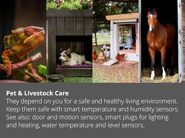 pet & livestock care