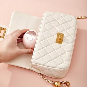 Put in the hand bags