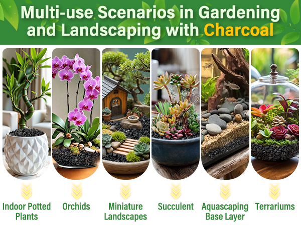Charcoal for Plants