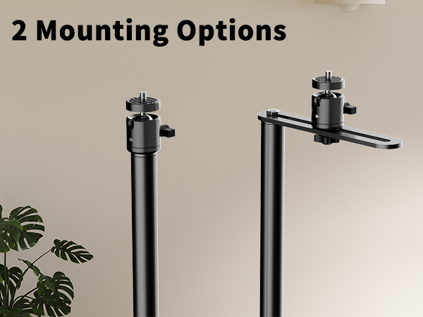 2 Mounting Options