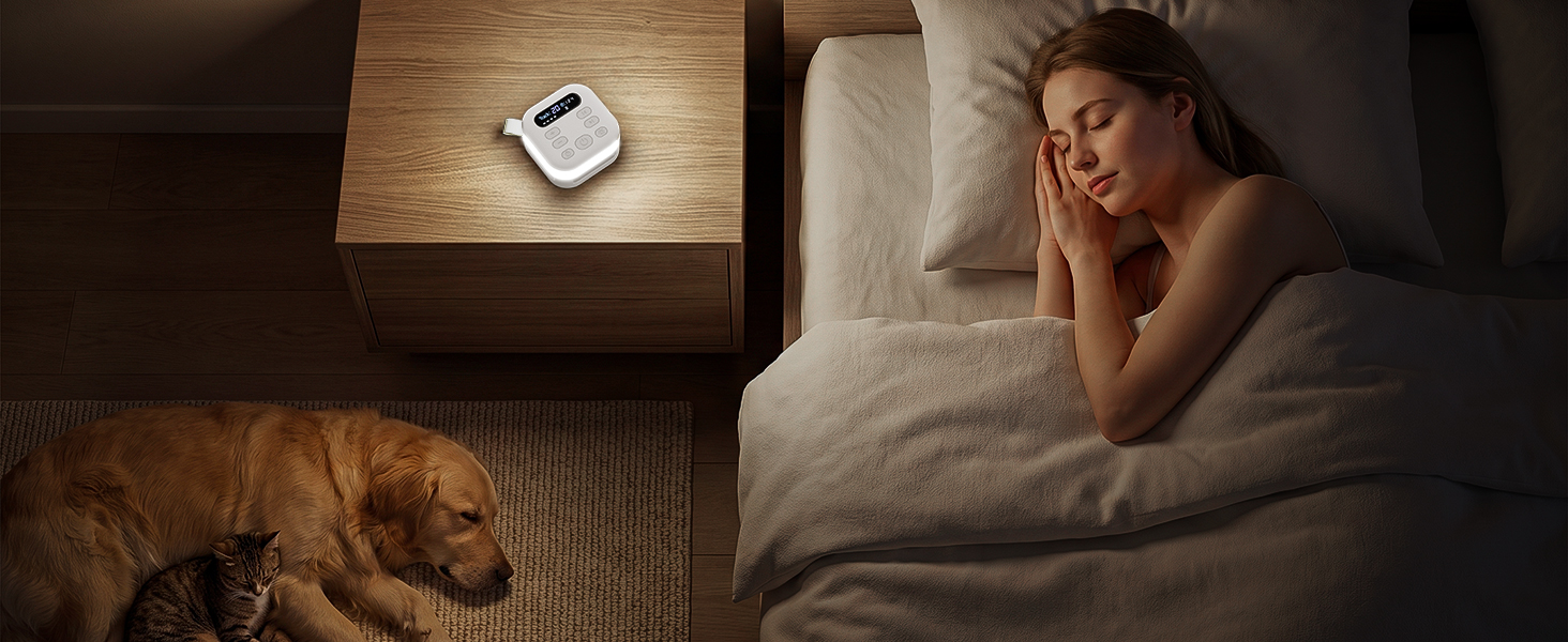 Pet Sleep Bedroom
