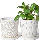 LE TAUCI Ceramic Plant Pots, 5.4 inch Indoor Planters with Drainage Hole and Saucer, Embossed Flo...