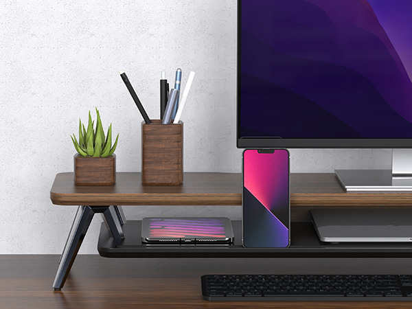 Home Office Stand