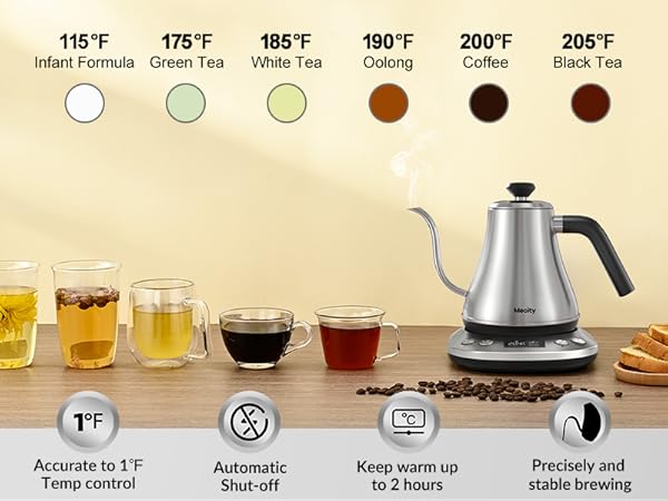 Electric Kettle with Temperature Control