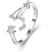 BriLove 925 Sterling Silver CZ Statement Ring Horoscope Zodiac 12 Constellation Astrology Adjusta...