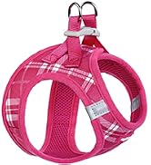 Step-in Small Dog Harness