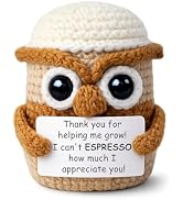 Crochet Owl Coffee Cup Teacher Appreciation Gift, Handmade Thank You Desk Decor, Funny Espresso P...