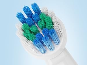 Dupont Bristles The bristles are fine and soft, and go deep into the teeth.