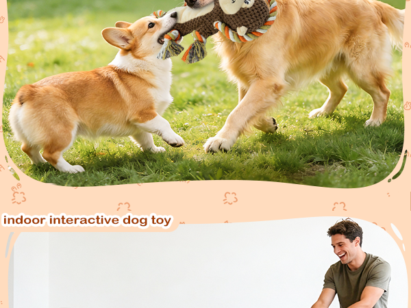 interactive dog toys
