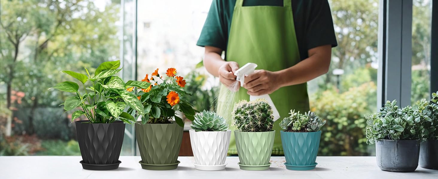 6 inch small plant pots for windowsills, desktops, shelves, or patios.